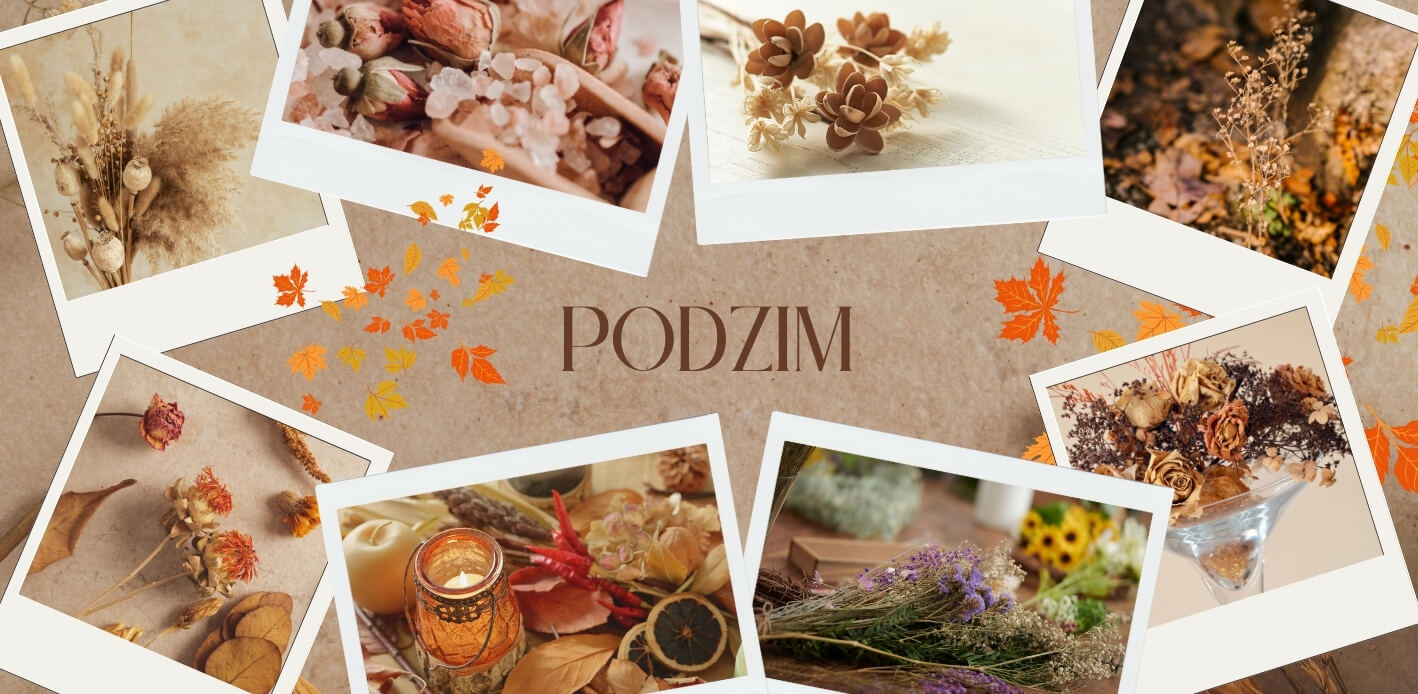Podzimní kolekce sušených květin